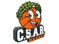 CSAR JOGGING avec LOGO Adulte Unisexe