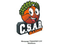 CSAR - TEE-SHIRT supporter Adulte