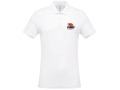 Polo HOMME