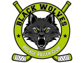 Sweat capuche ENFANT - Black Wolves