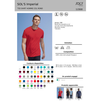 Teeshirt HOMME